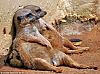     
: 0_39732_da1073f4_XL.jpg
: 328
:	80.3 
ID:	107