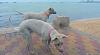     
: DSC00209.jpg
: 858
:	56.3 
ID:	307