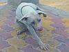     
: DSC00214.JPG
: 525
:	57.5 
ID:	310
