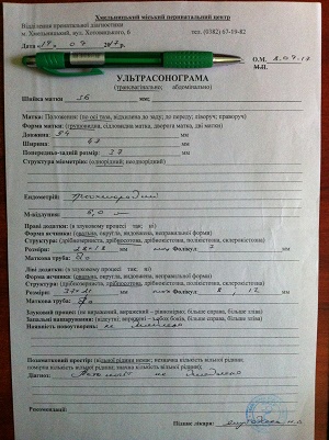 : IMG_3670.JPG
: 338

: 66.9 