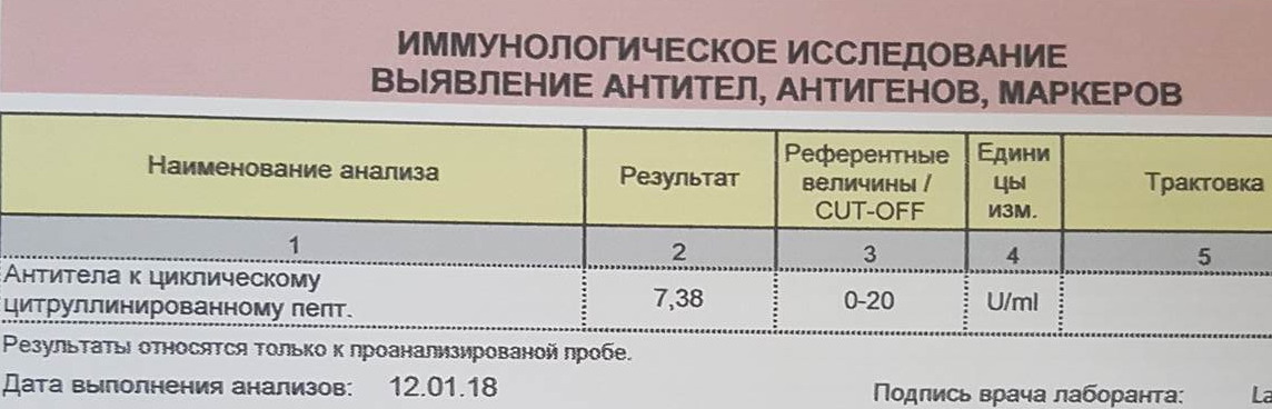 :   .jpg
: 666

: 96.5 