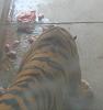     
: DSC00339.JPG
: 473
:	45.5 
ID:	421