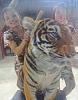     
: DSC00234.JPG
: 477
:	50.2 
ID:	423