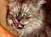     
: DSC08277.jpg
: 455
:	47.4 
ID:	480