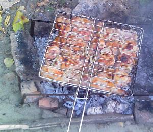 Нажмите на изображение для увеличения
Название: Шашлыки куриные.jpg
Просмотров: 3382
Размер: 71.2 Кб
ID: 562