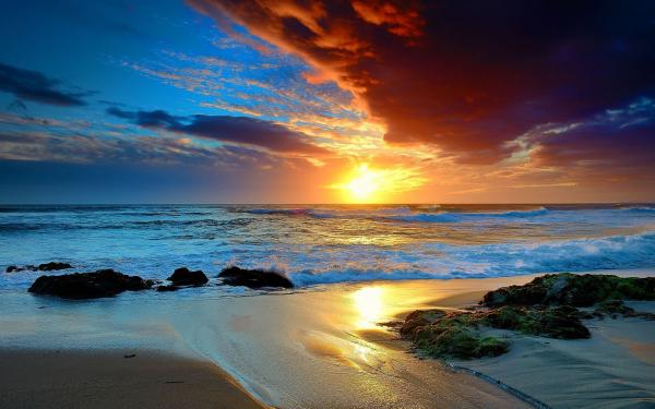 1 beach sea photography