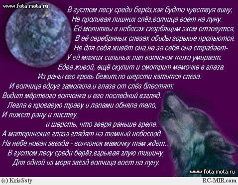 file.php id=177171700081683c94734d5a7cf8d1c5d8881c314c